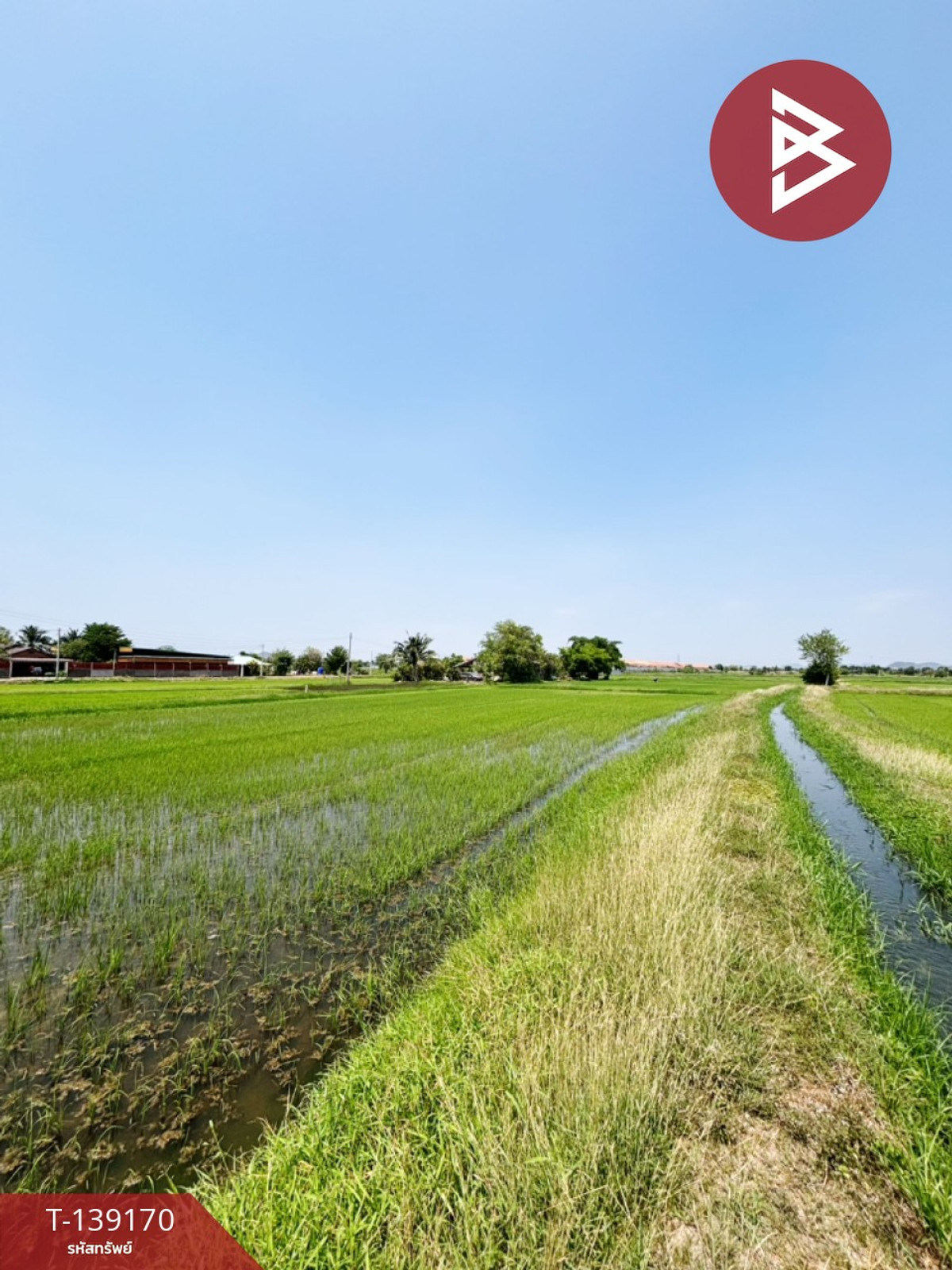 ขายที่ดิน เนื้อที่ 10 ไร่ 69 ตร.วา เจดีย์หัก ราชบุรี