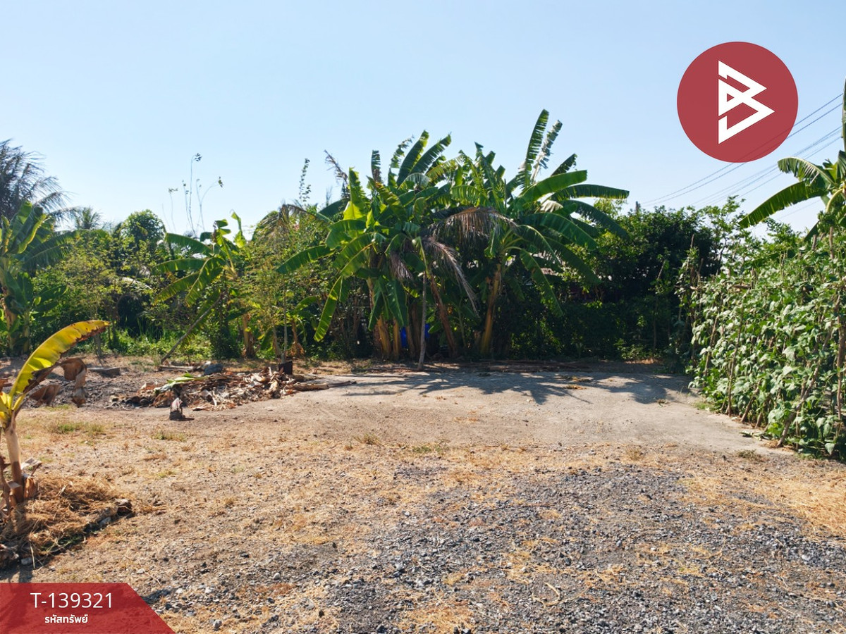 ขายที่ดิน เนื้อที่ 1 งาน 18.3 ตารางวา หนามแดง ฉะเชิงเทรา