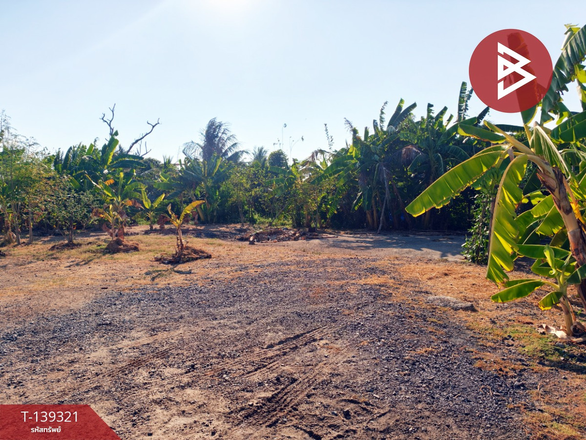 ขายที่ดิน เนื้อที่ 1 งาน 18.3 ตารางวา หนามแดง ฉะเชิงเทรา