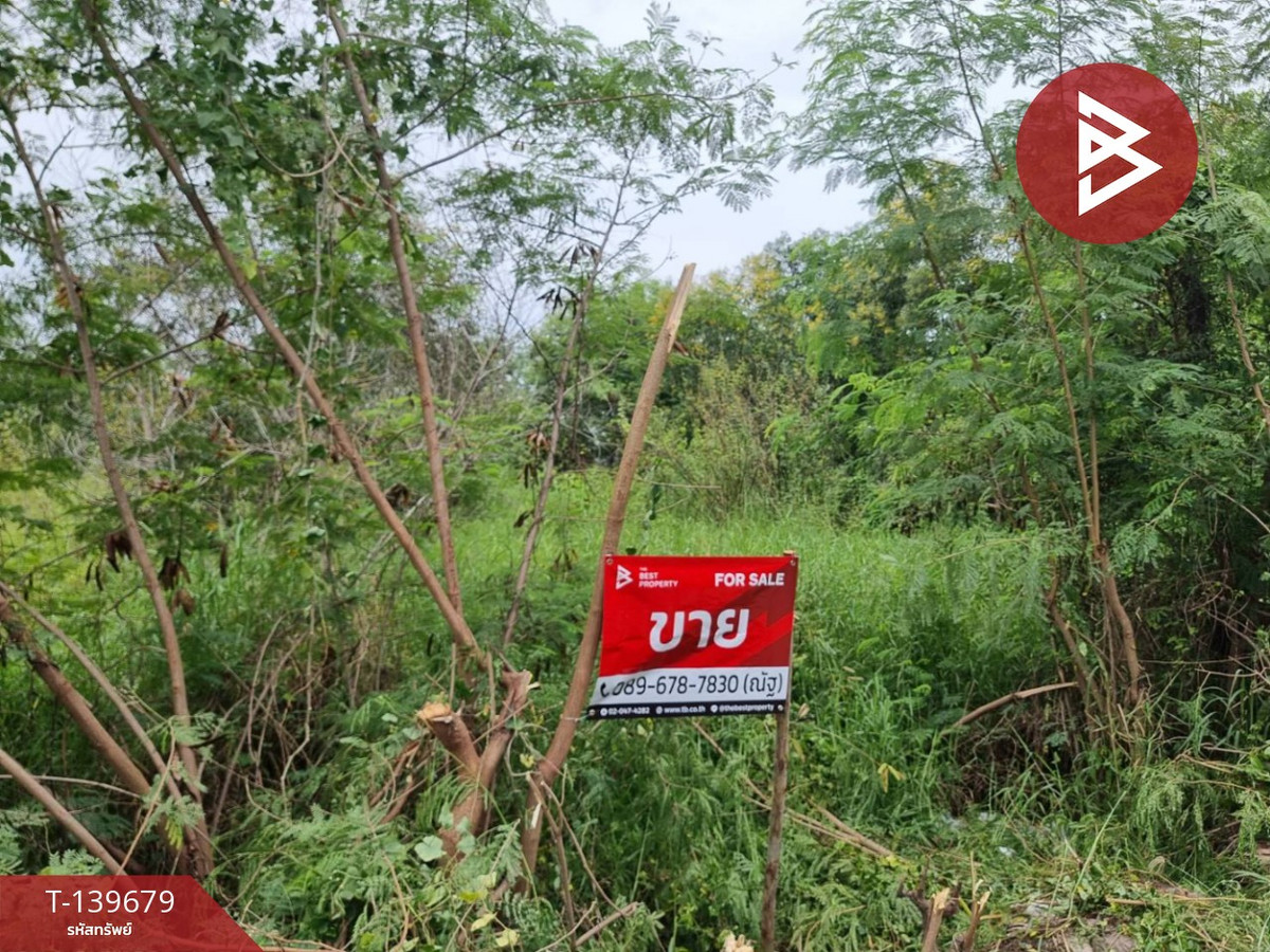 ขายที่ดิน เนื้อที่ 2 งาน 3 ตร.วา คลองหลวง ปทุมธานี