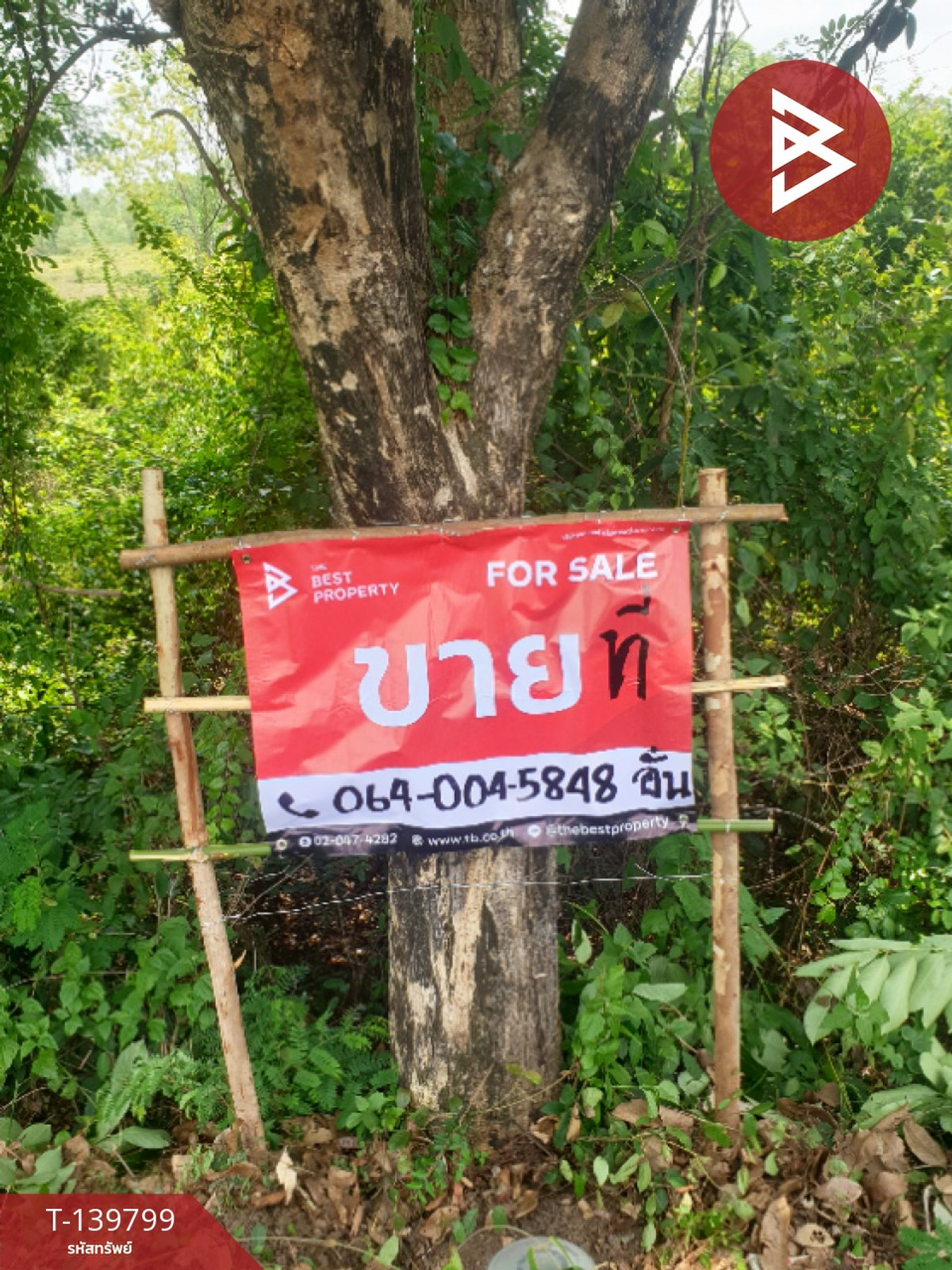 ขายที่ดิน เนื้อที่ 9 ไร่ คำเตย นครพนม