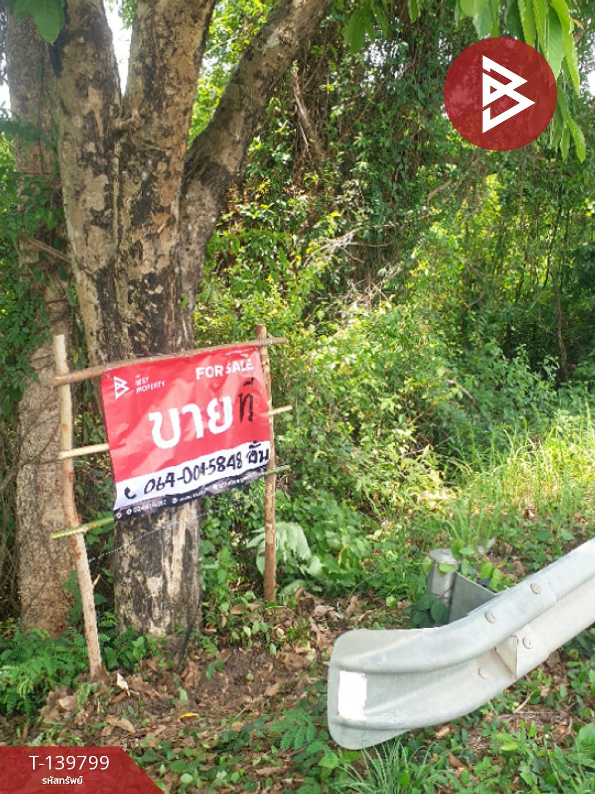 ขายที่ดิน เนื้อที่ 9 ไร่ คำเตย นครพนม