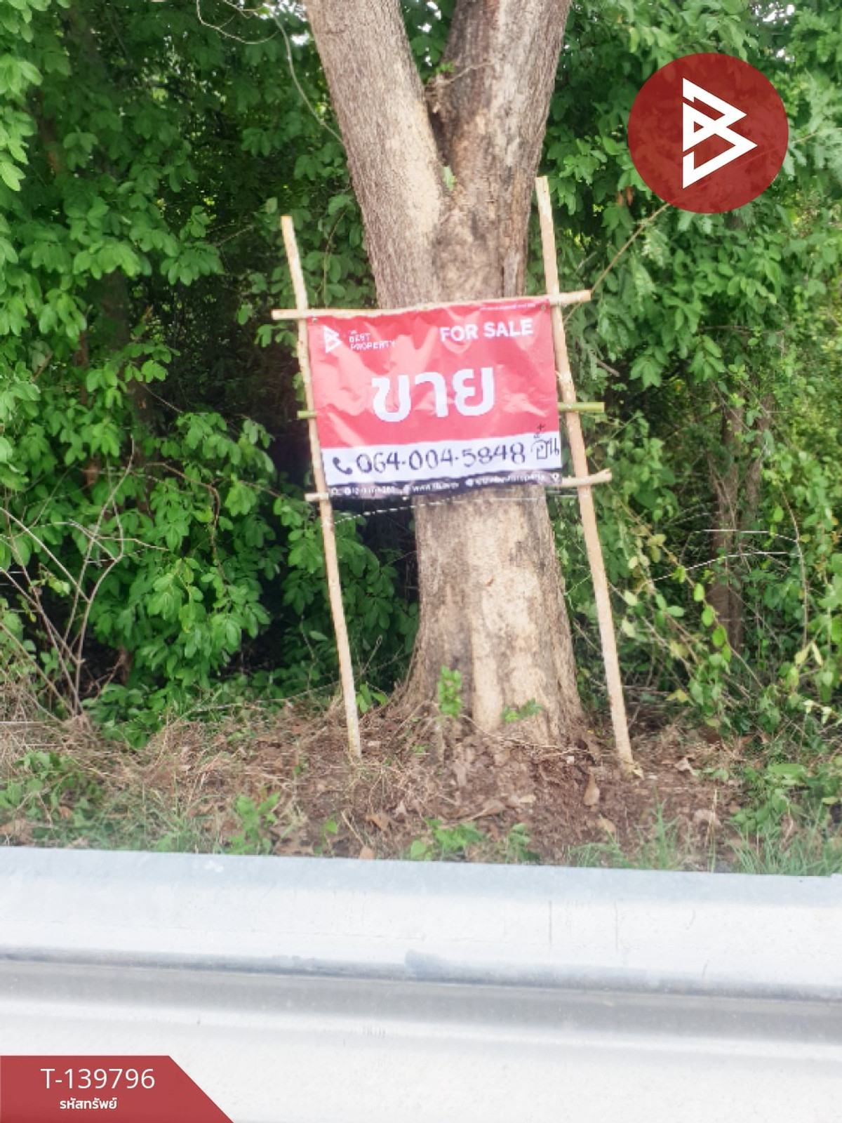 ขายที่ดิน เนื้อที่ 10 ไร่ 1 งาน 57 ตร.วา คำเตย นครพนม