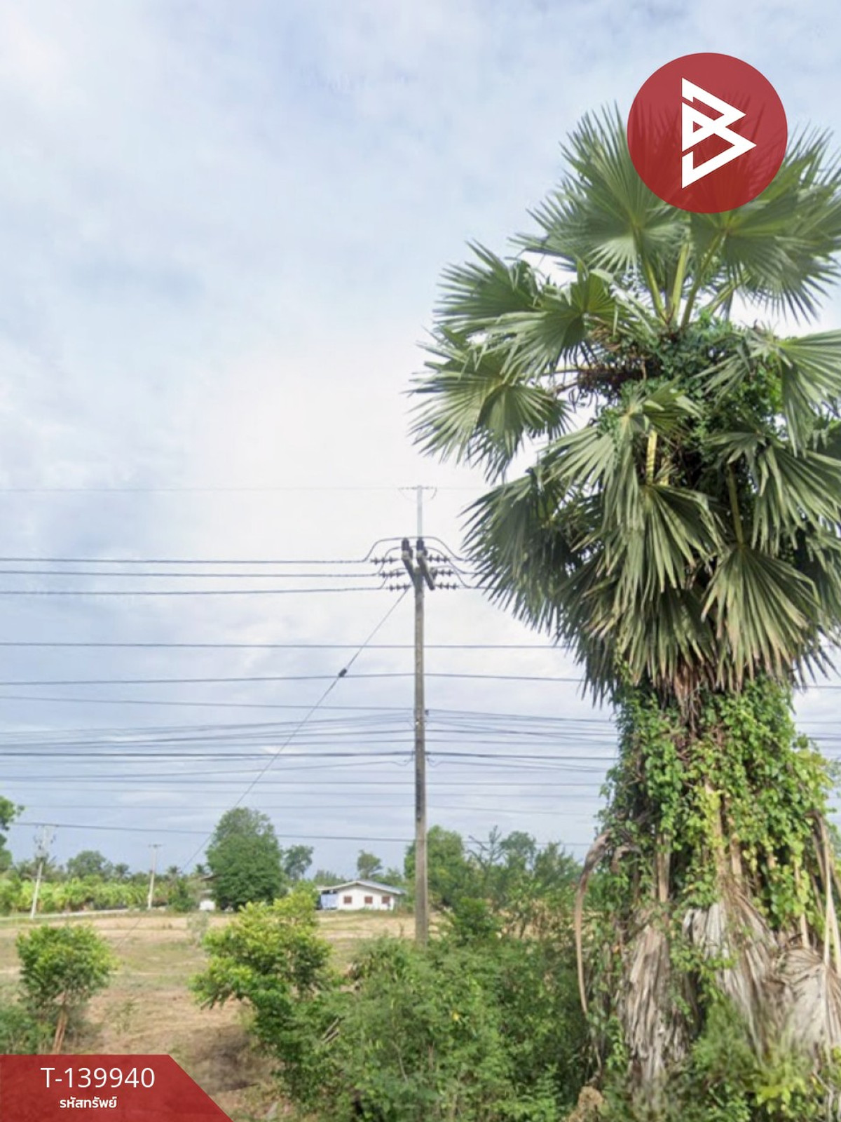 ขายที่ดิน เนื้อที่ 12 ไร่ 20 ตร.วา ท่ายาง เพชรบุรี