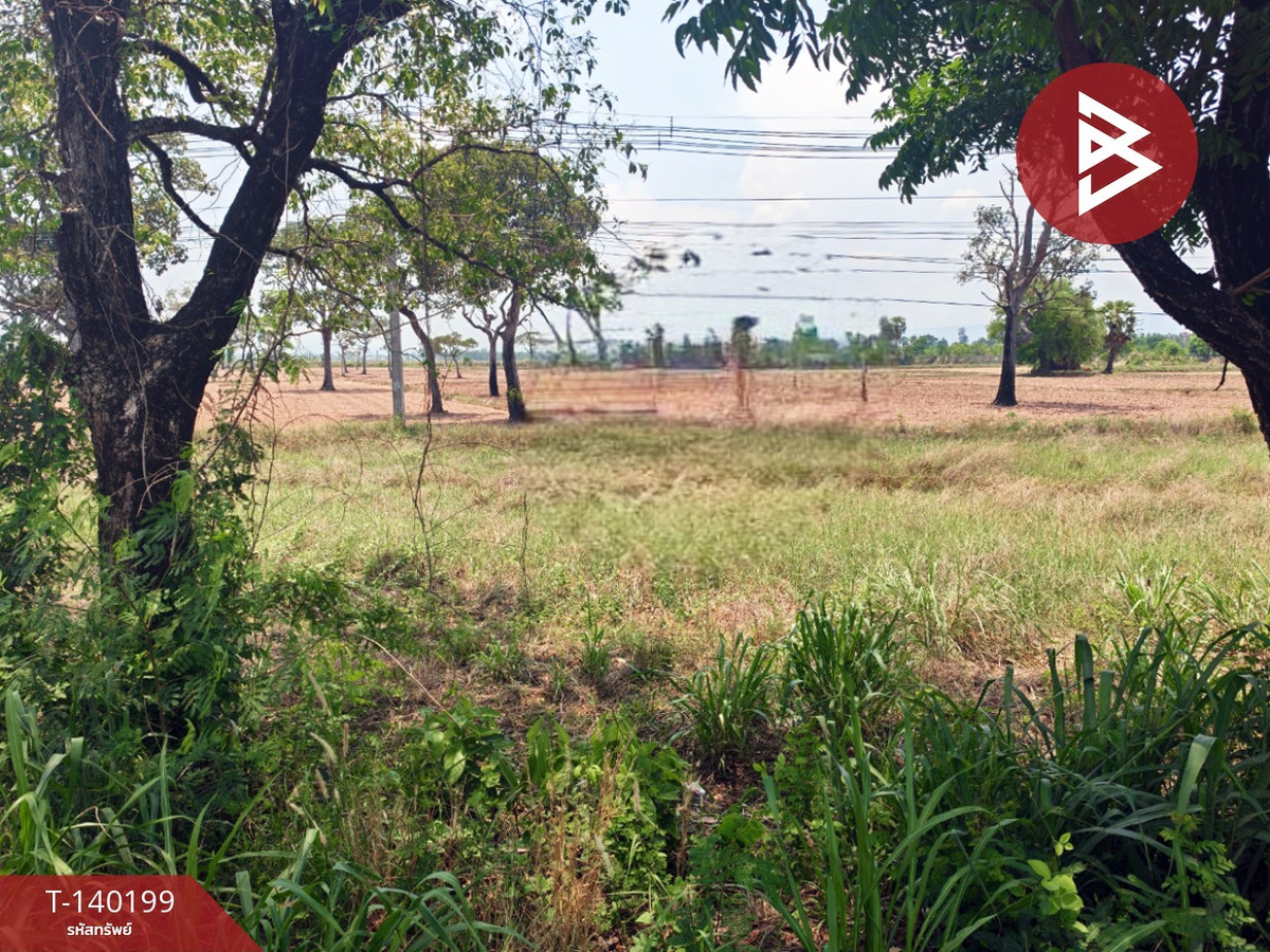 ขายที่ดิน เนื้อที่ 23 ไร่ 1 งาน 83 ตร.วา นาดี ปราจีนบุรี