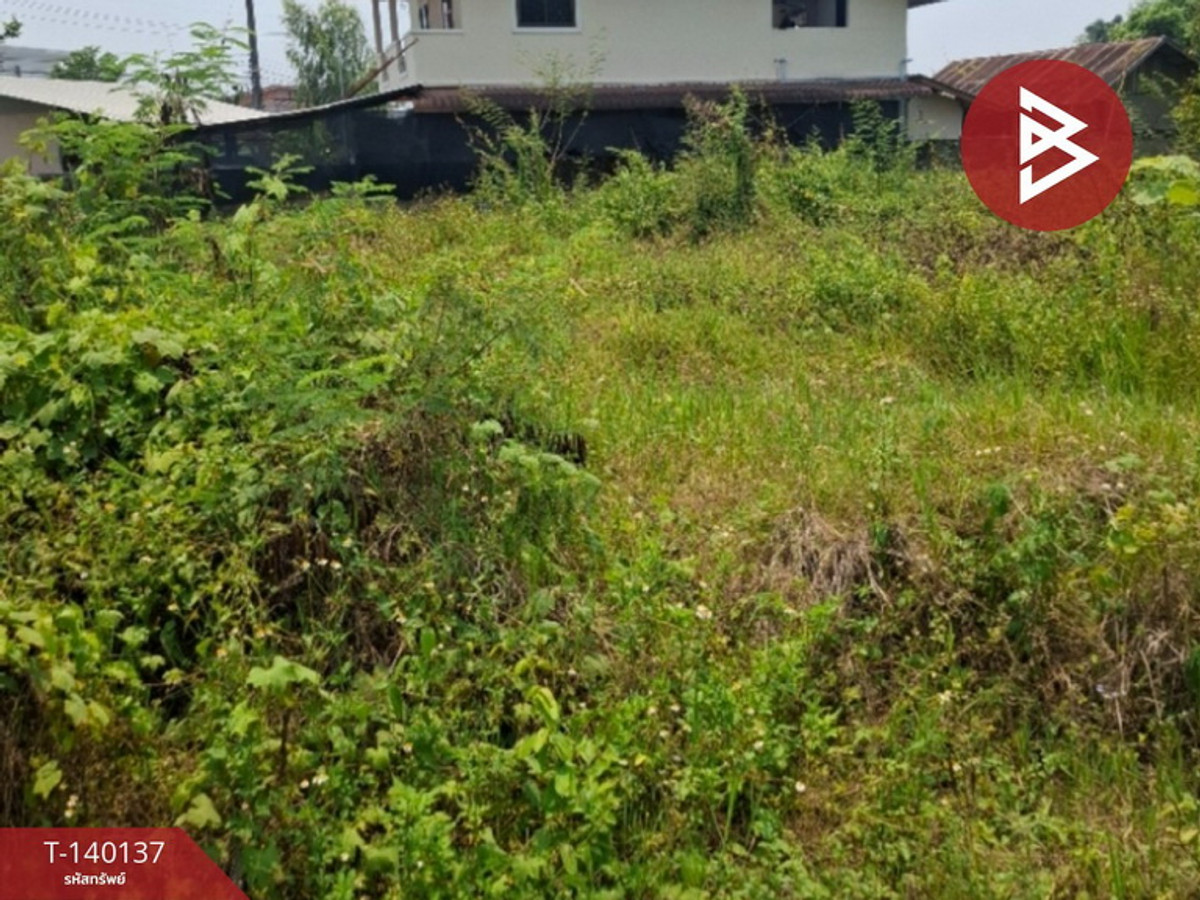 ขายที่ดิน เนื้อที่ 3 งาน 3 ตร.วา แม่กรณ์ เชียงราย
