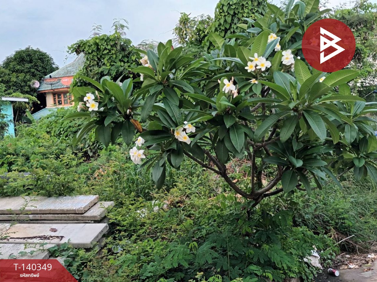 ขายที่ดิน ในหมู่บ้านพฤกษา2 เนื้อที่ 60 ตร.วา ธัญบุรี ปทุมธานี