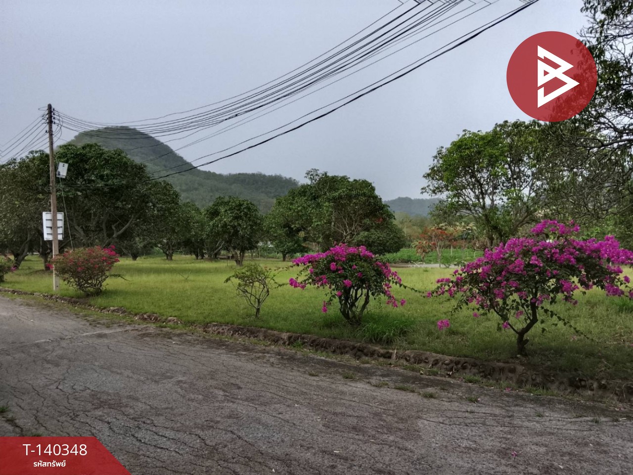 ขายที่ดิน เนื้อที่ 1 งาน 97 ตร.วา ปากช่อง นครราชสีมา