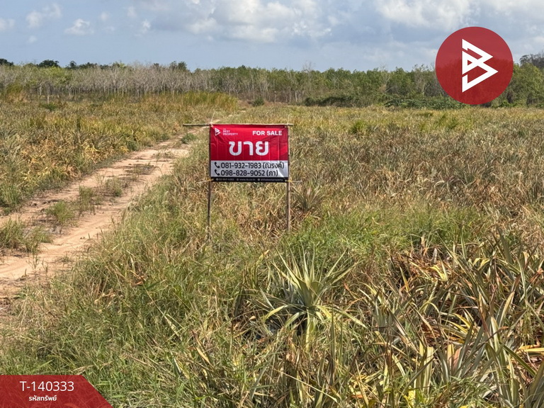 ขายที่ดิน เนื้อที่ 2 ไร่ 2 งาน 1ตร.วา เกาะหลัก ประจวบคีรีขันธ์