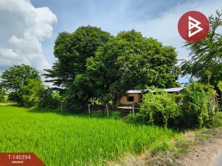 ขายที่ดิน เนื้อที่ 2 ไร่ 3 งาน ดอนเจดีย์ สุพรรณบุรี