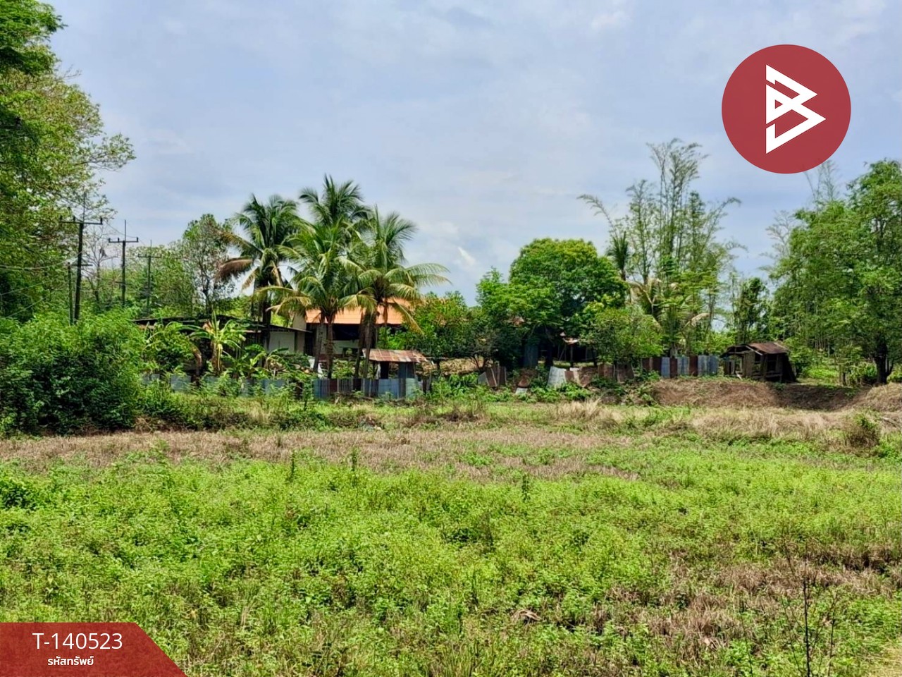 ขายที่ดิน เนื้อที่ 6 ไร่ 47.5 ตร.วา ท่าปลา อุตรดิตถ์