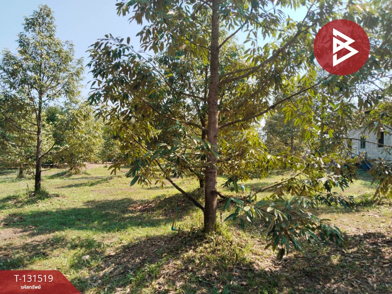 ขายที่ดิน เนื้อที่ 2 ไร่ 2 งาน 75 ตร.วา ท่าใหม่ จันทบุรี
