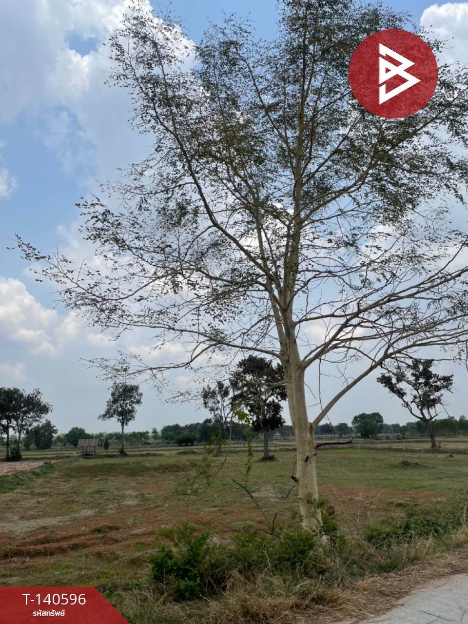 ขายที่ดิน เนื้อที่ 10 ไร่ 44.1 ตร.วา บ้านใหม่ไชยพจน์ บุรีรัมย์