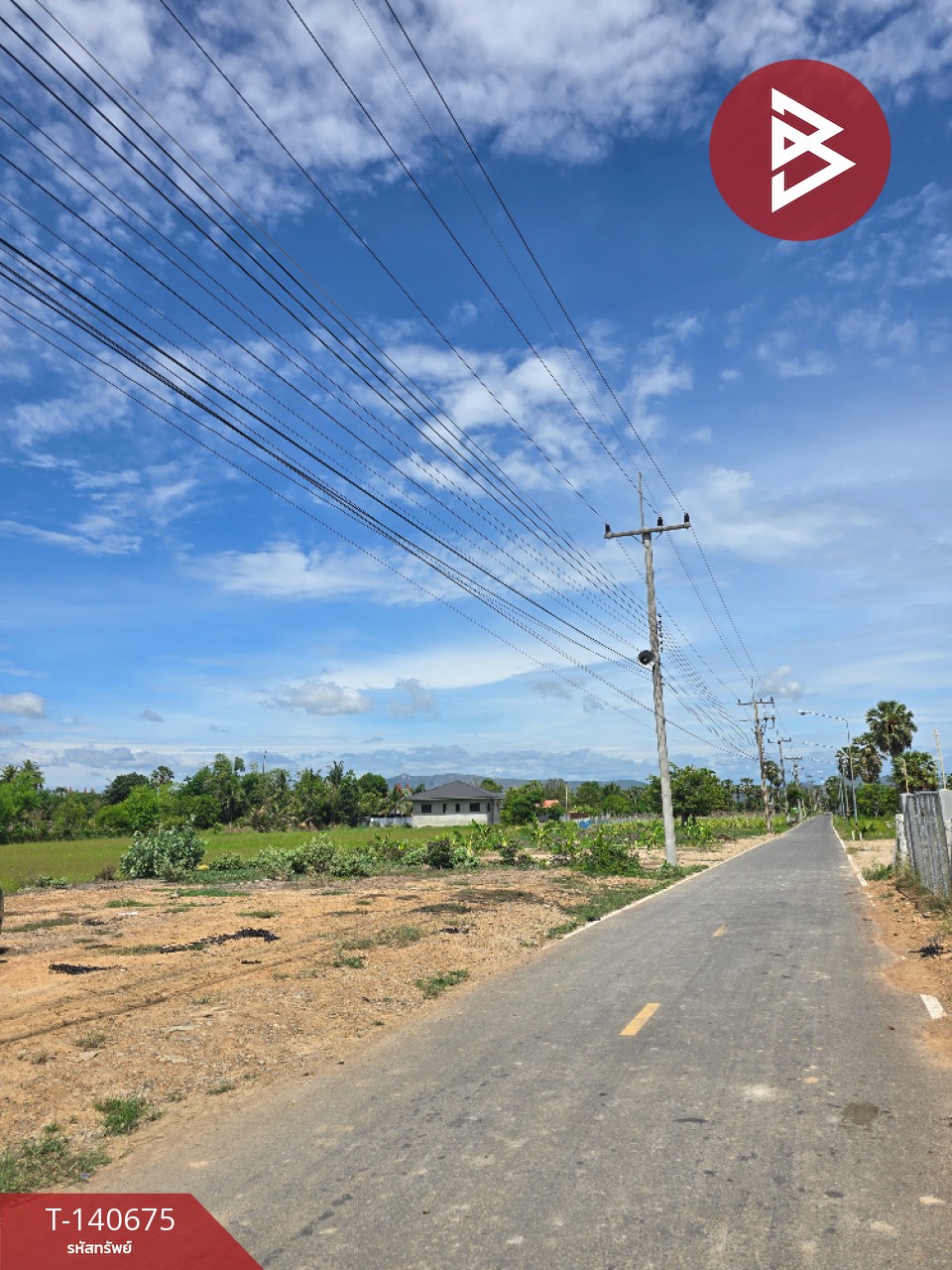 ขายที่ดิน เนื้อที่ 100 ตารางวา บ้านลาด เพชรบุรี พร้อมปลูกบ้าน