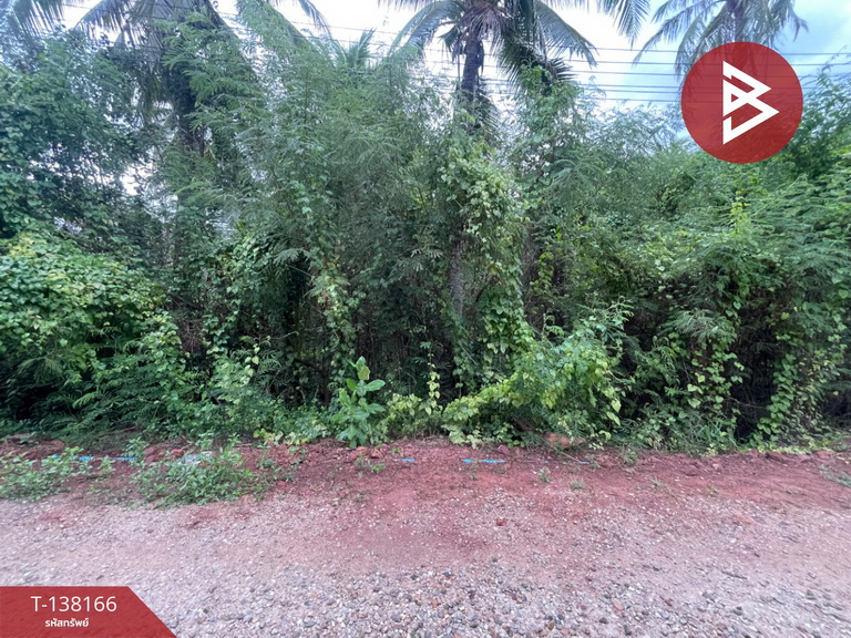ขายที่ดิน เนื้อที่ 2 งาน 44.5 ตร.วา ดำเนินสะดวก ราชบุรี
