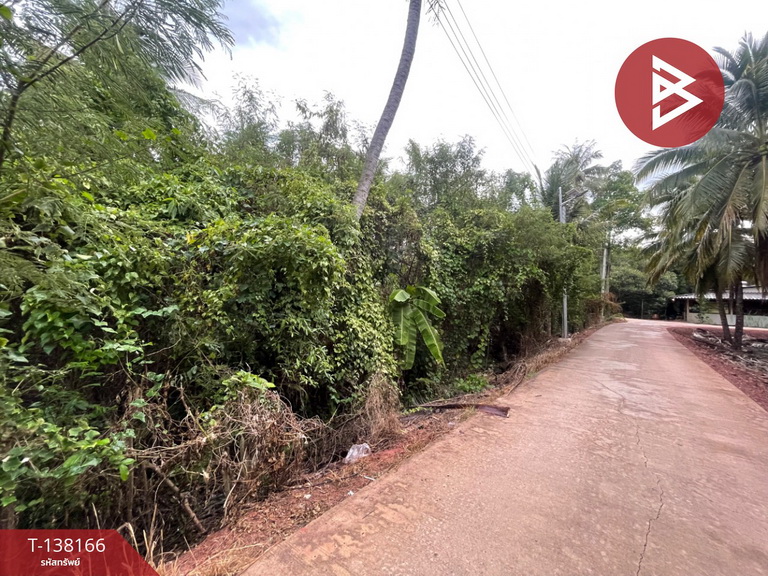 ขายที่ดิน เนื้อที่ 2 งาน 44.5 ตร.วา ดำเนินสะดวก ราชบุรี