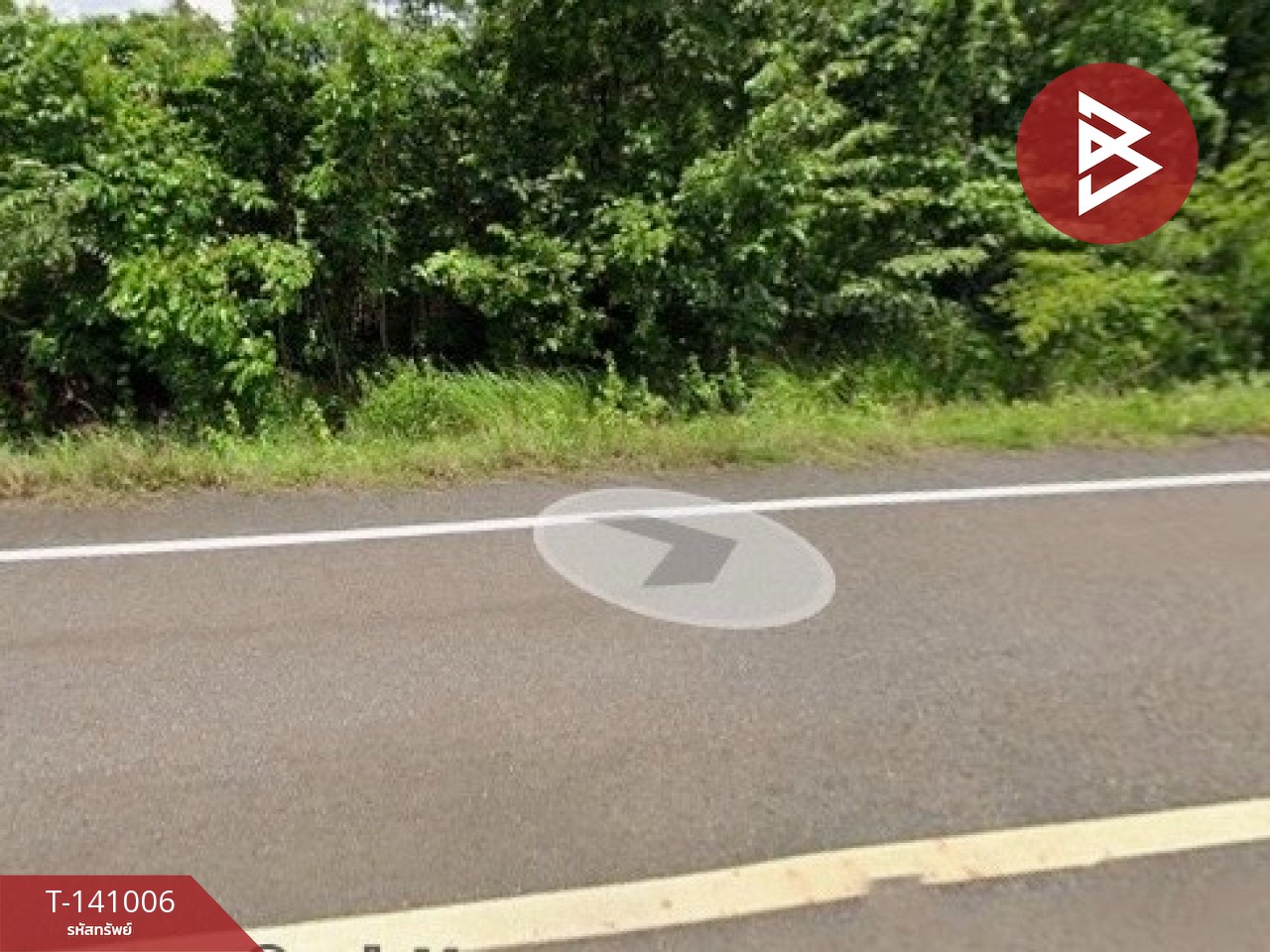 ขายที่ดิน เนื้อที่ 11 ไร่ 3 งาน 72 ตร.วา ปลาปาก นครพนม