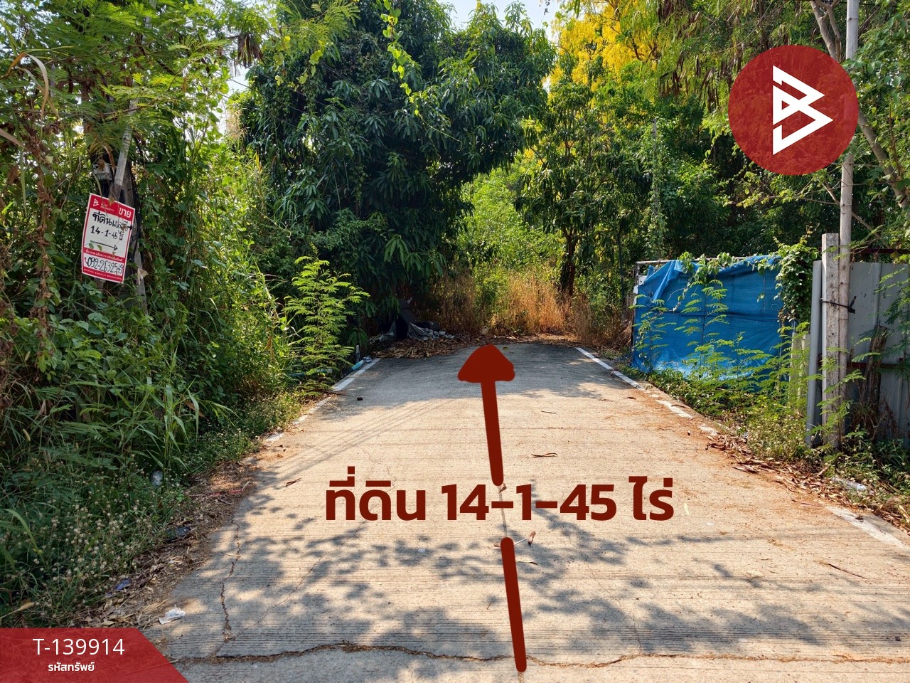 ขาย/เช่าที่ดิน เนื้อที่ 14 ไร่ 1 งาน 45 ตร.วา ลาดหลุมแก้ว ปทุมธานี
