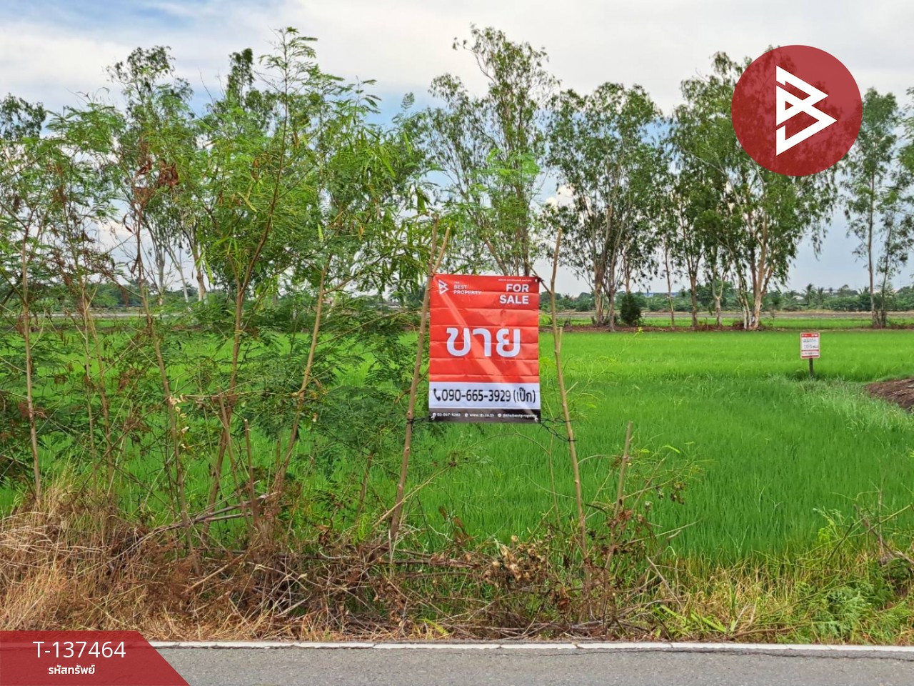 ขายที่ดิน เนื้อที่ 1 งาน 83 ตร.วา พุทธมณฑล นครปฐม