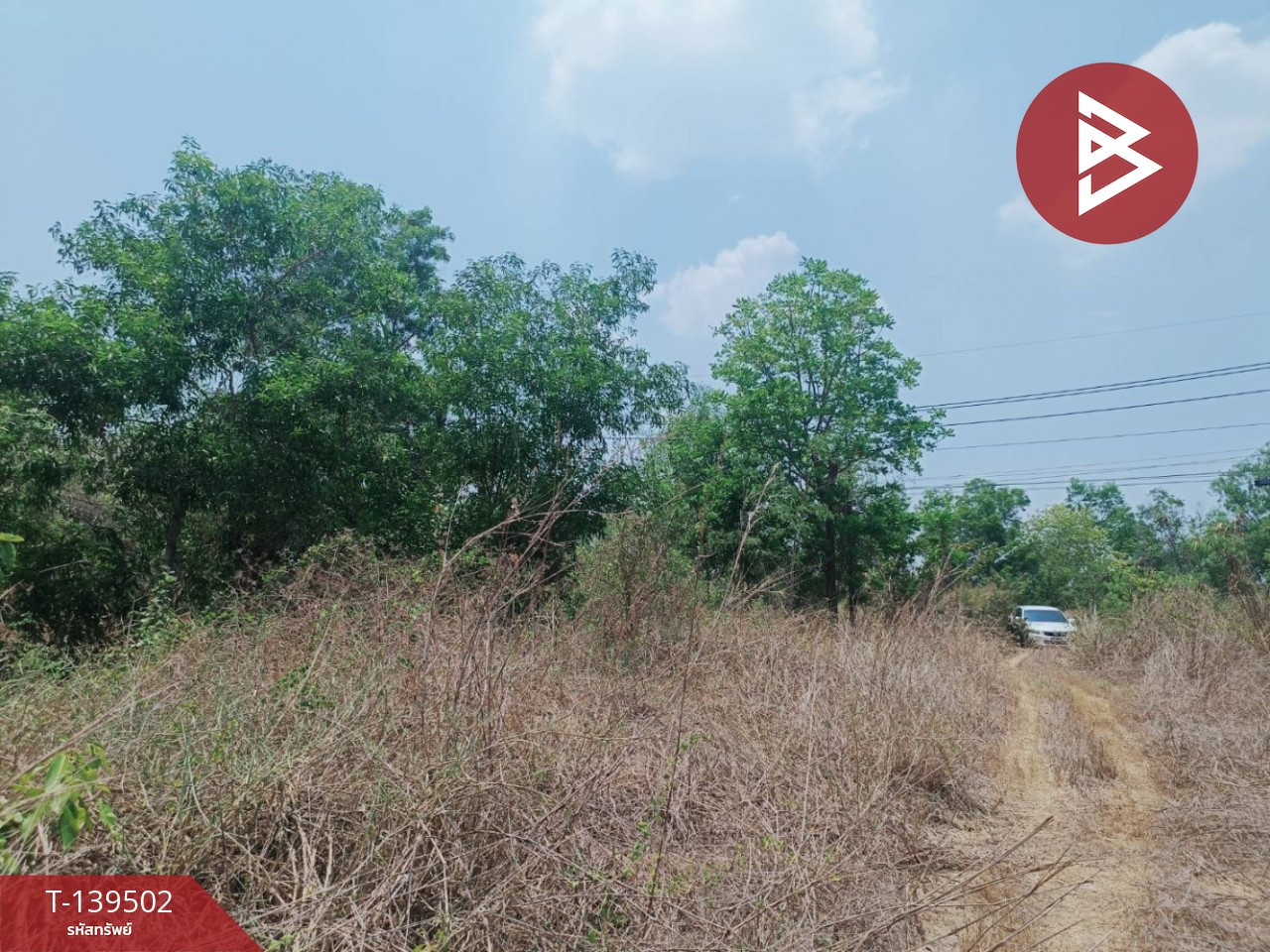 ขายที่ดิน เนื้อที่ 14 ไร่ 61.9 ตร.วา ราชสาส์น ฉะเชิงเทรา