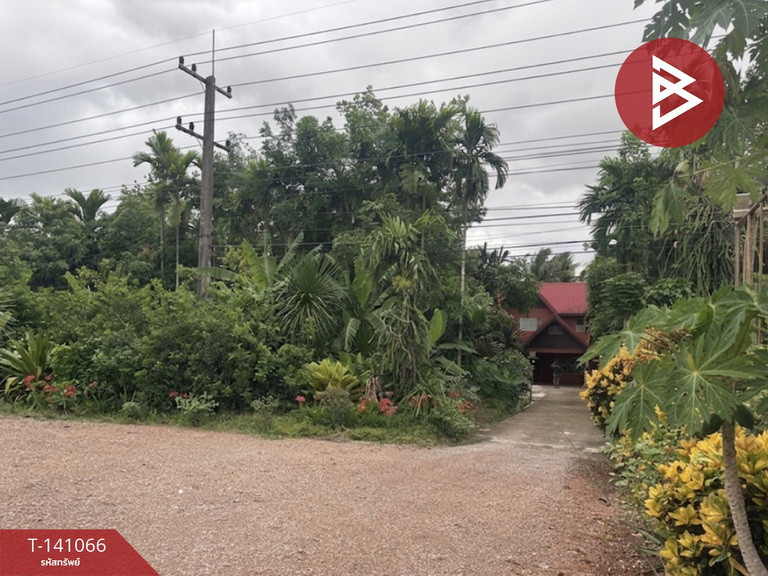 ขายที่ดิน เนื้อที่ 15 ไร่ 3 งาน 93 ตร.วา คอนสาร ชัยภูมิ