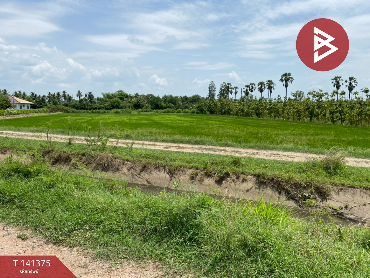 ขายที่ดิน เนื้อที่ 3 ไร่ 80.3 ตร.วา กำแพงแสน นครปฐม