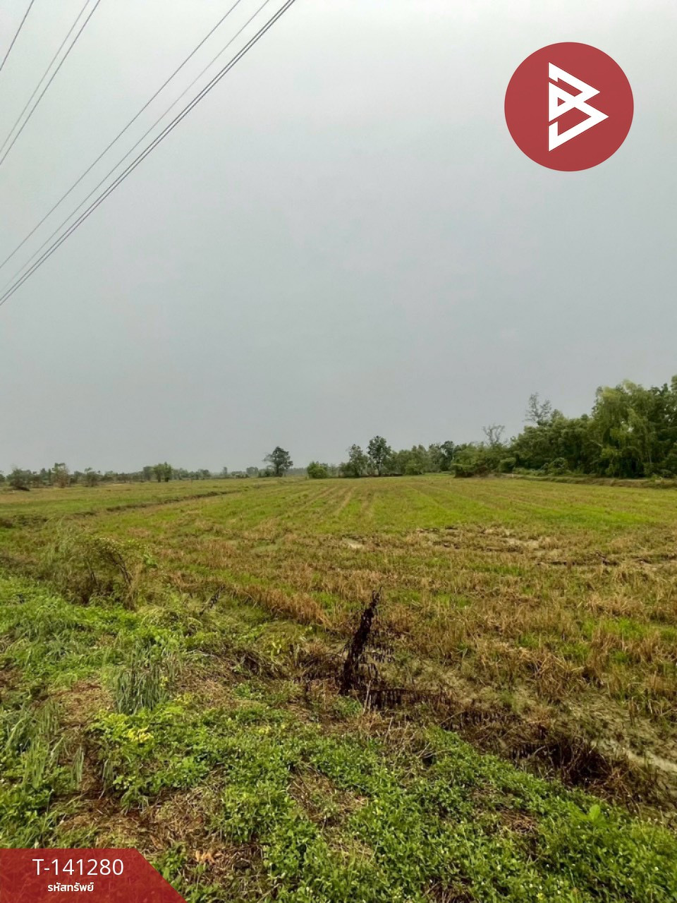 ขายที่ดิน 12 ไร่ 1 งาน 76.1 ตร.วา ขาณุวรลักษบุรี กำแพงเพชร