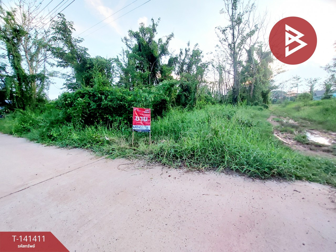 ขายที่ดิน เนื้อที่ 1 งาน ต.จุมพล อ.โพนพิสัย จ.หนองคาย