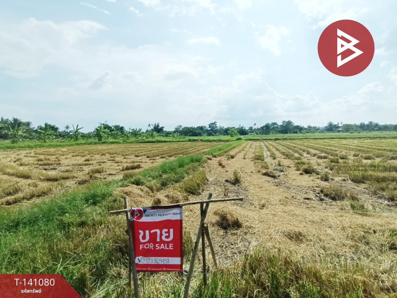 ขายที่ดิน เนื้อที่ 7 ไร่ 3 งาน 41 ตร.วา บ้านใหม่ นครราชสีมา