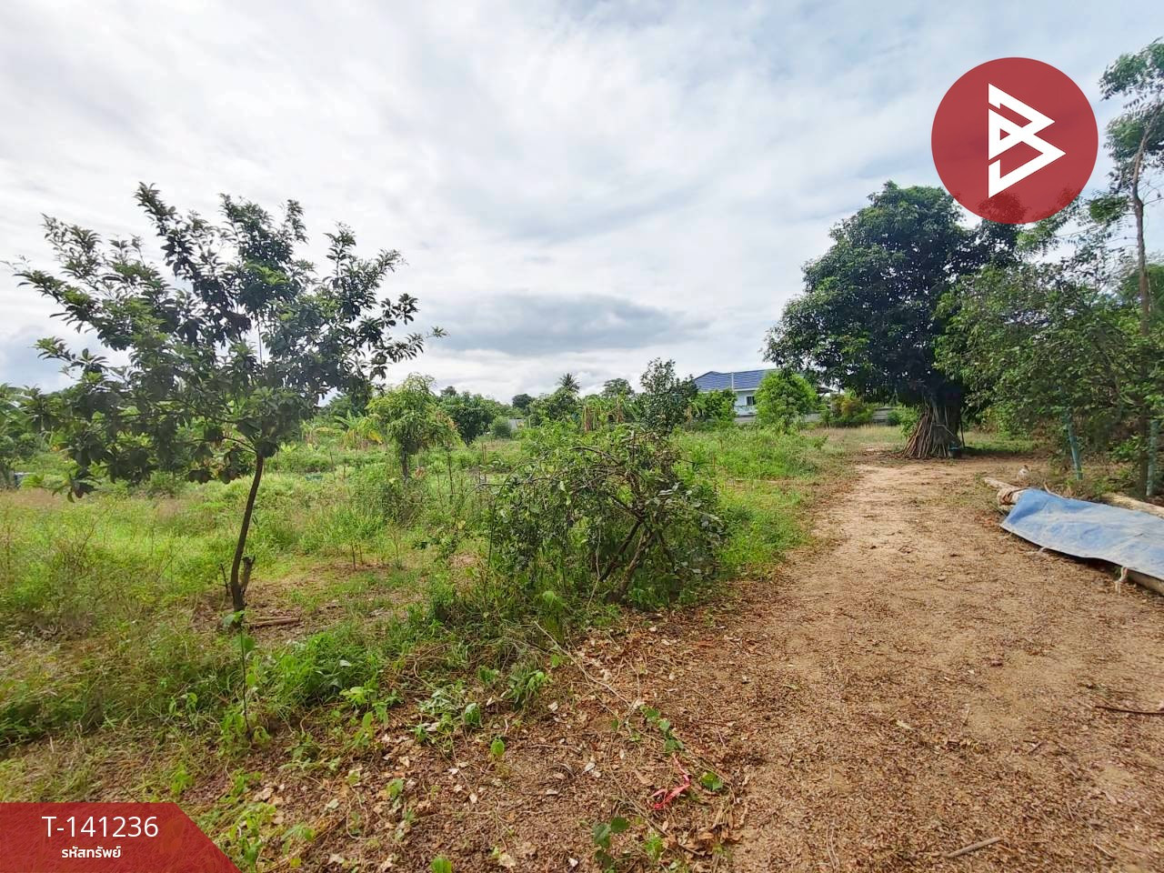 ขายที่ดินการเกษตร เนื้อที่ 2 ไร่ บ้านยาง นครปฐม