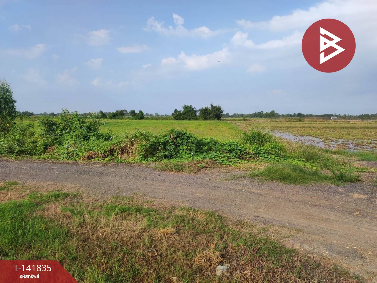 ขายที่ดิน เนื้อที่ 25 ไร่ 3 งาน 16.6 ตร.วา เมืองเก่า พิจิตร