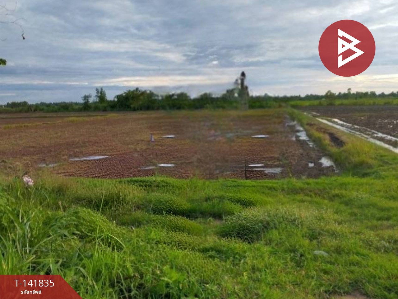 ขายที่ดิน เนื้อที่ 25 ไร่ 3 งาน 16.6 ตร.วา เมืองเก่า พิจิตร