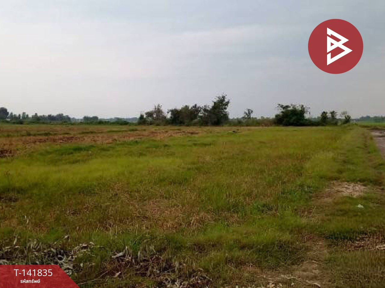 ขายที่ดิน เนื้อที่ 25 ไร่ 3 งาน 16.6 ตร.วา เมืองเก่า พิจิตร