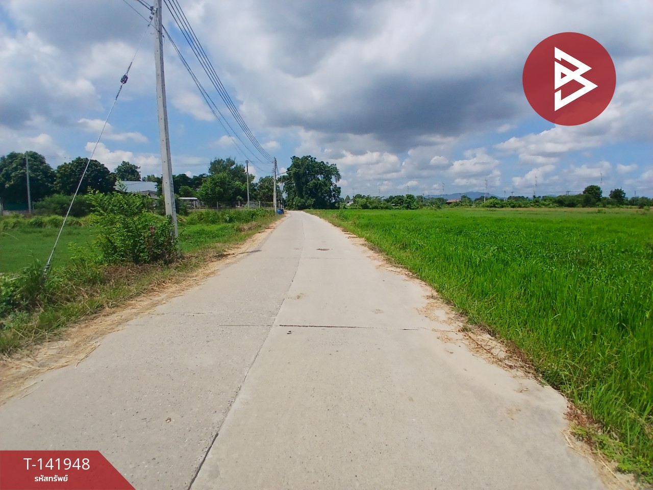 ขายที่ดิน เนื้อที่ 5 ไร่ พนัสนิคม ชลบุรี