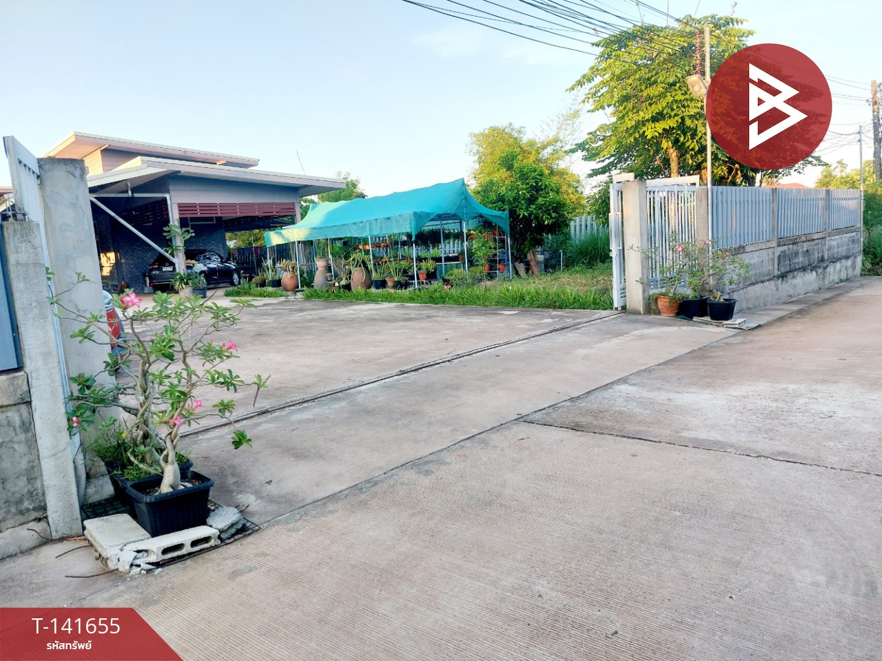 ขายบ้านเดี่ยว พร้อมกิจการบ้านเช่า โพนพิสัย หนองคาย ทำเลติดถนนใหญ่