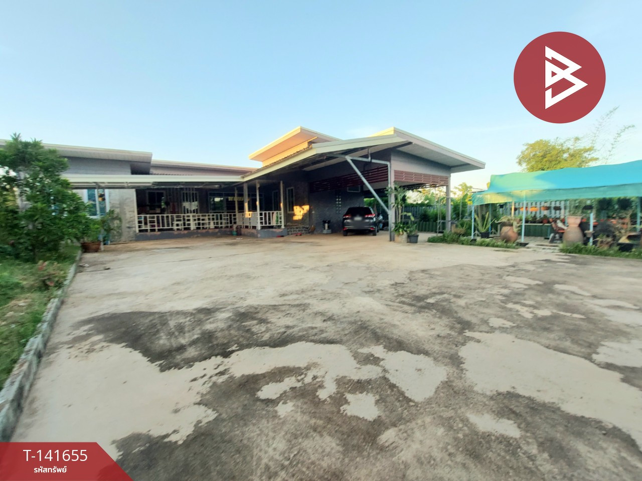 ขายบ้านเดี่ยว พร้อมกิจการบ้านเช่า โพนพิสัย หนองคาย ทำเลติดถนนใหญ่