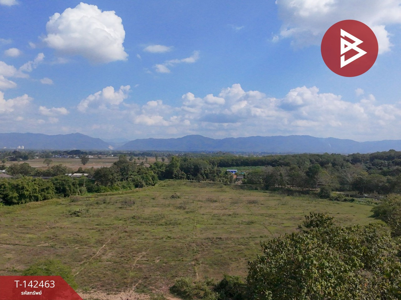 ขายที่ดิน เนื้อที่ 24 ไร่ 66.6 ตร.วา เชียงของ เชียงราย