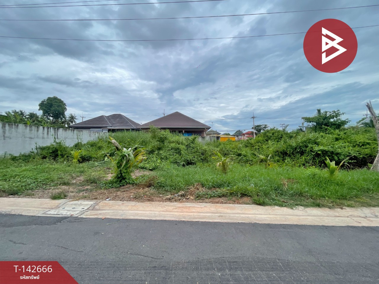 ขายที่ดิน เนื้อที่ 92 ตร.วา บ้านปรก สมุทรสงคราม