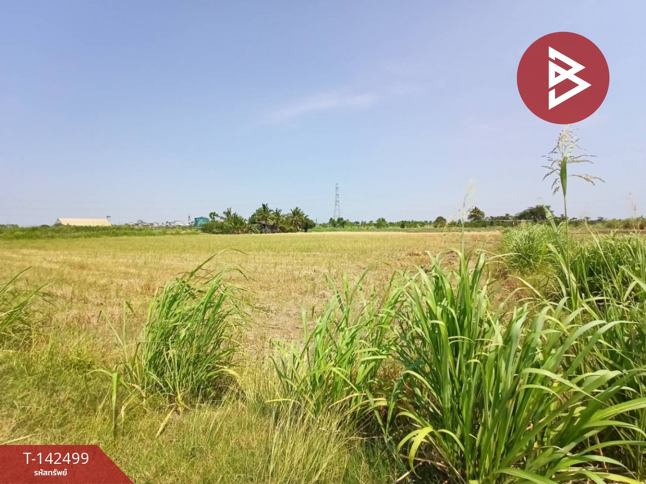 ขายที่ดิน เนื้อที่ 2 ไร่ 2 งาน 99.2 ตร.วา บ้านมะเกลือ นครสวรรค์