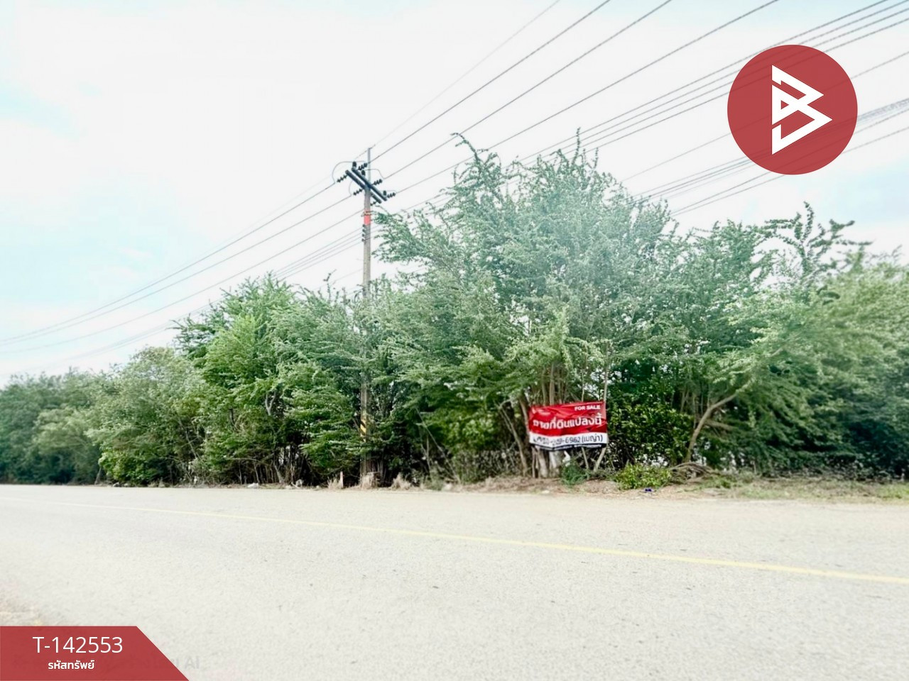 ขายที่ดิน เนื้อที่ 4 ไร่ 3 งาน 37.8 ตร.วา วังตะเคียน ฉะเชิงเทรา
