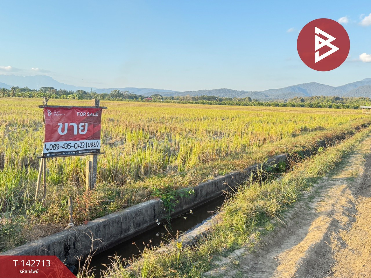ขายที่ดิน เนื้อที่ 4 ไร่ 50.3 ตร.วา แม่แตง เชียงใหม่