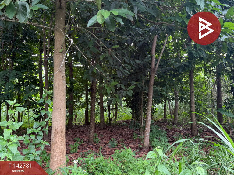 ขายที่ดิน เนื้อที่ 7 ไร่ 1 งาน 80.4 ตร.วา จอมทอง เชียงใหม่