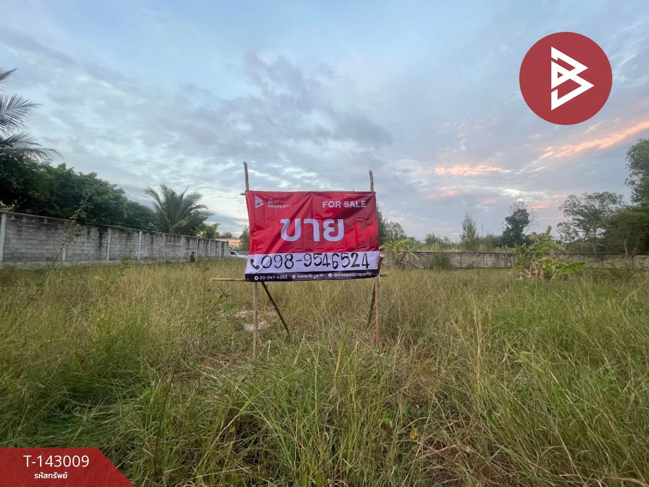 ขายที่ดิน เนื้อที่ 1 ไร่ 6.5 บ้านไผ่ ขอนแก่น