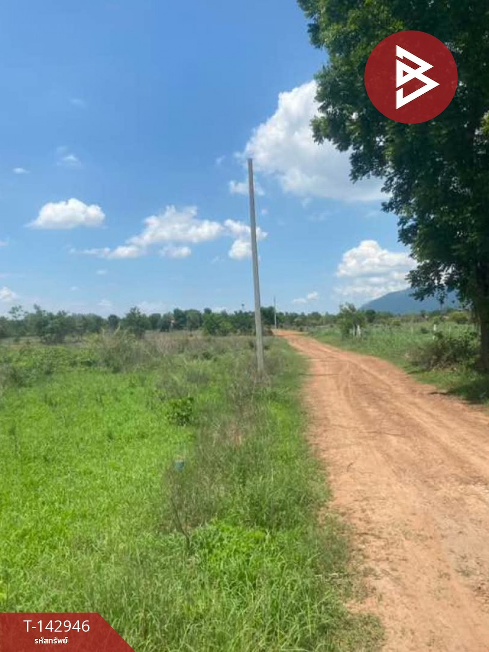 ขายที่ดิน เนื้อที่ 2 งาน 40 ตร.วา ชุมแพ ขอนแก่น