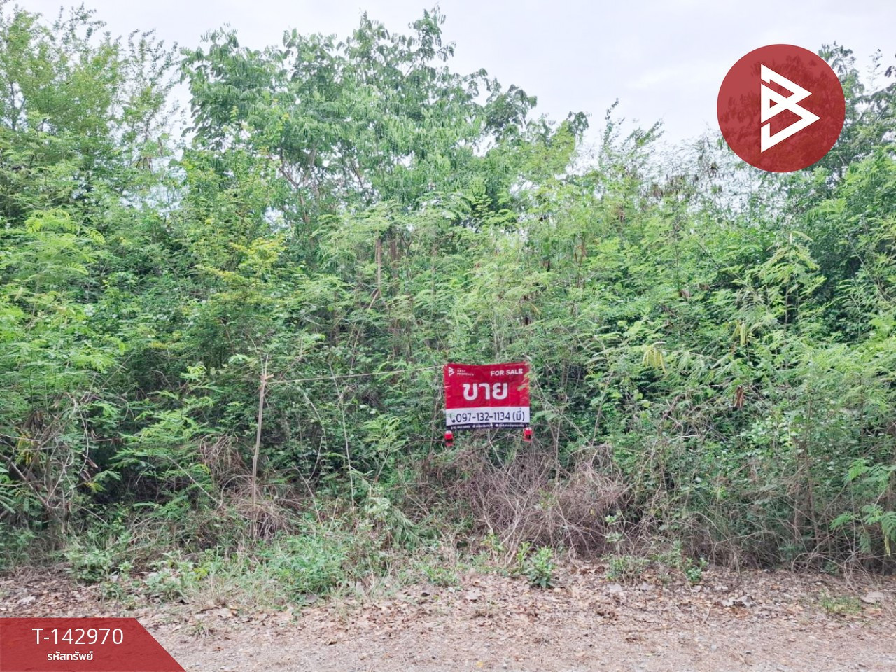 ขายที่ดิน เนื้อที่ 97 ตร.วา กำแพงแสน นครปฐม