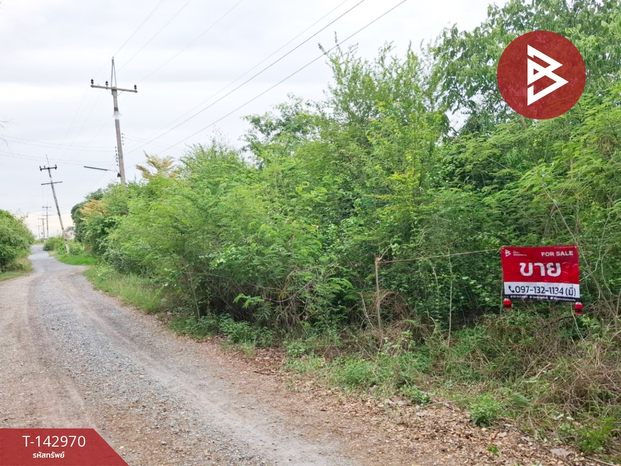 ขายที่ดิน เนื้อที่ 97 ตร.วา กำแพงแสน นครปฐม