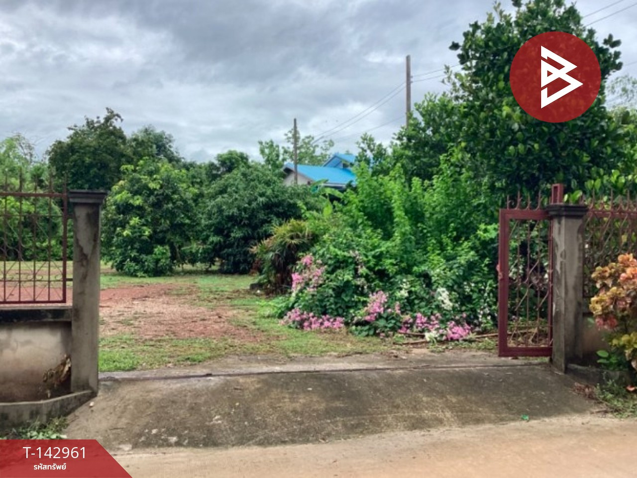 ขายที่ดิน เนื้อที่ 1 งาน 91 ตร.วา งิ้วงาม อุตรดิตถ์