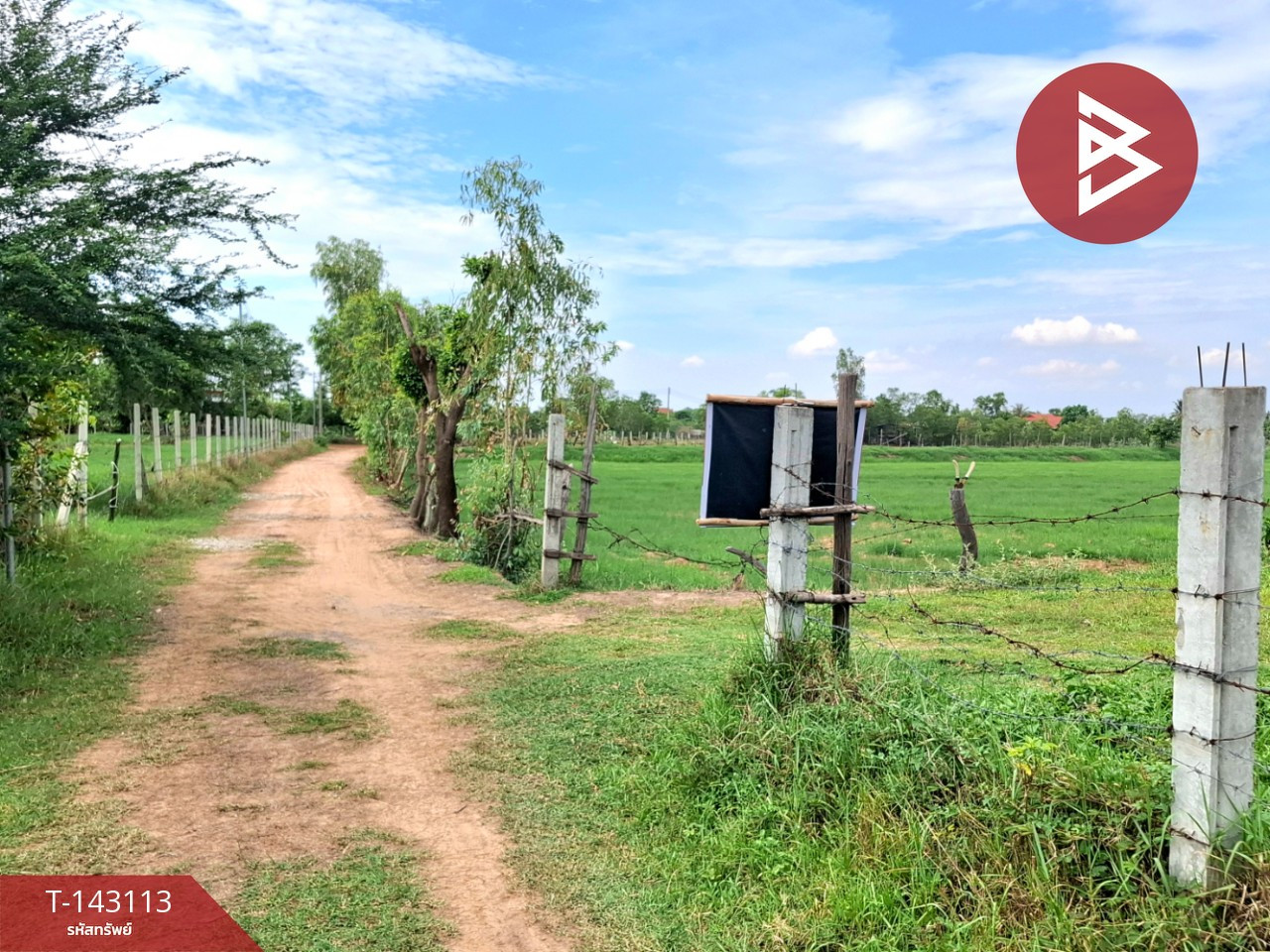 ขายบ้านเดี่ยวพร้อมที่ดิน เนื้อที่ 2 ไร่ 5.6 ตร.วา บ้านน้ำอ้อม เกษตรวิสัย ร้อยเอ็ด