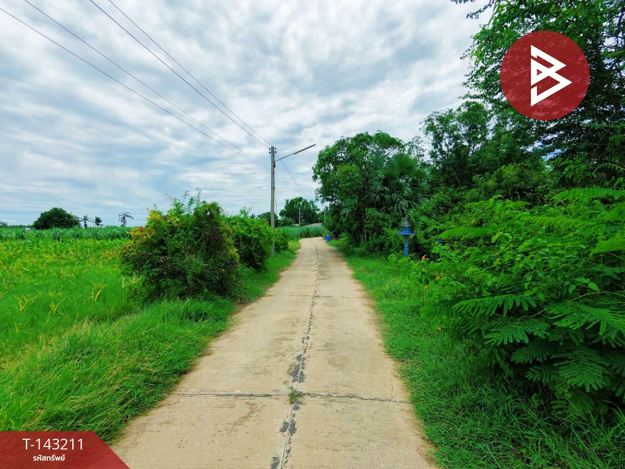 ขายที่ดิน เนื้อที่ 95 ตร.วา ท่ามะกา กาญจนบุรี