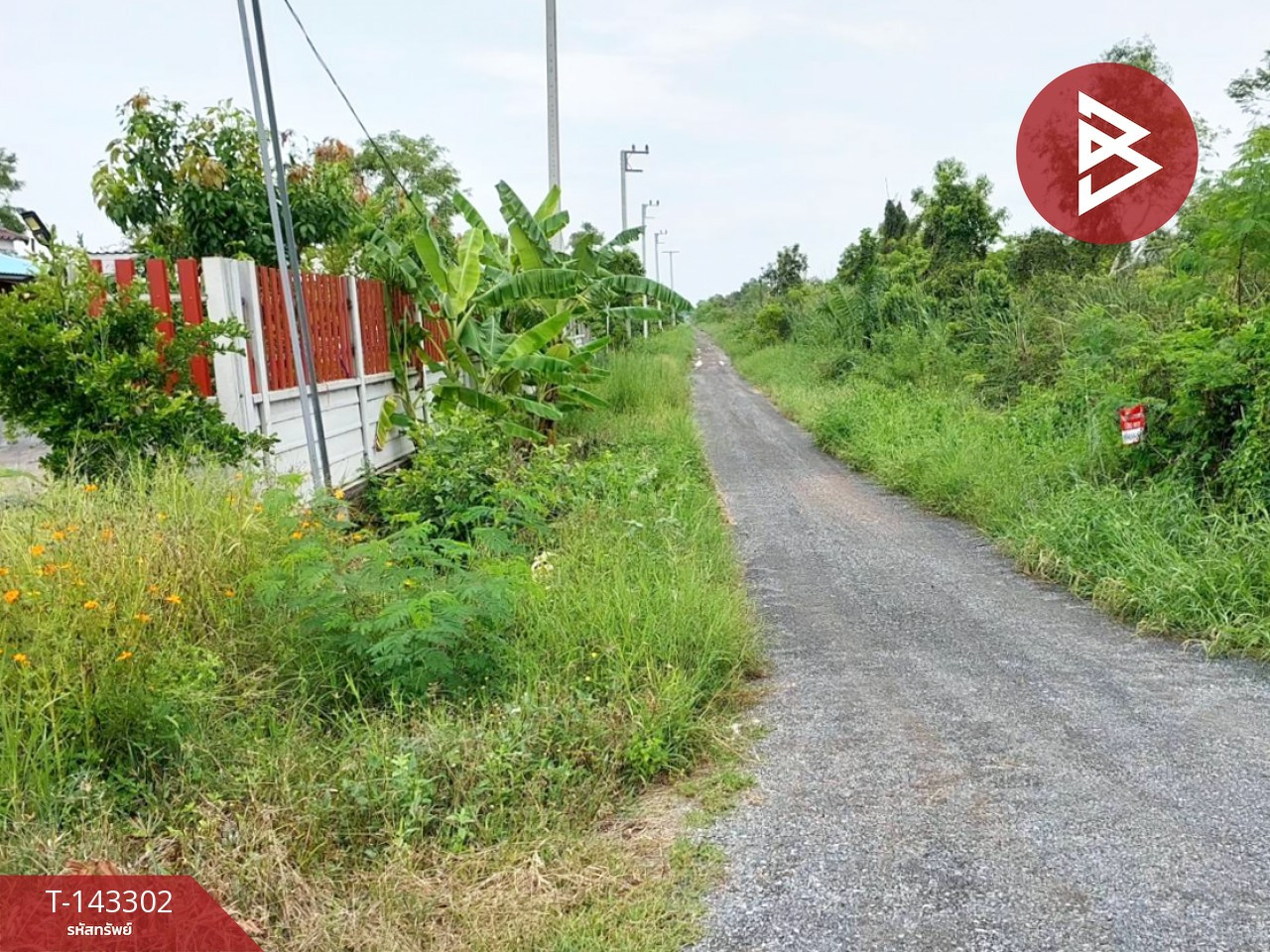 ขายที่ดิน เนื้อที่ 1 งาน 20 ตร.วา องครักษ์ นครนายก